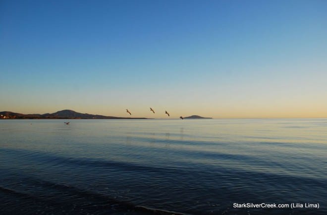 2011 Loreto Calendar Photo Contest-142