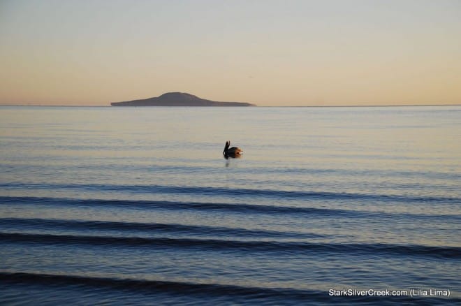 2011 Loreto Calendar Photo Contest-143
