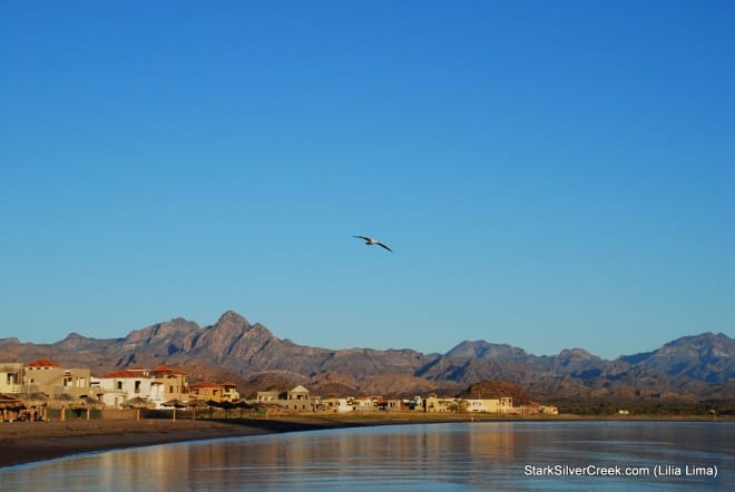 2011 Loreto Calendar Photo Contest-145