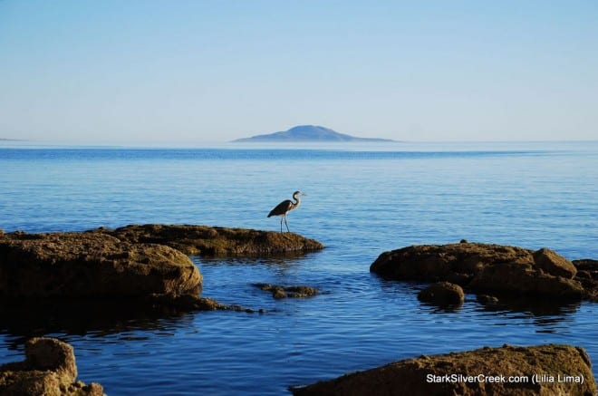 2011 Loreto Calendar Photo Contest-146