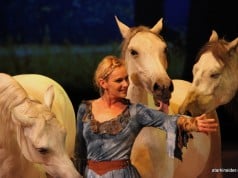 Cavalia Preview