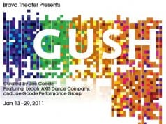 Gush Brava Theatre San Francisco