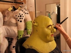 Shrek the Musical, Eric Petersen, Orpheum Theatre San Francisco