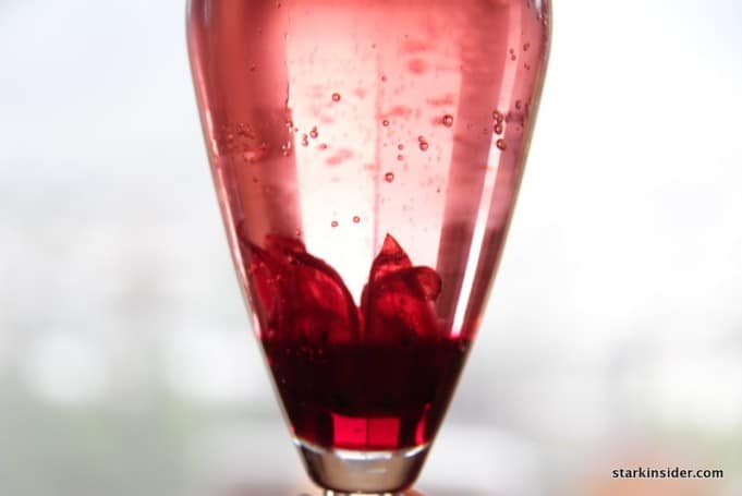 Hibiscus Champagne