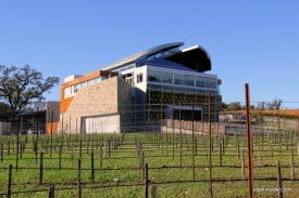 Williams Selyem Winery, Sonoma