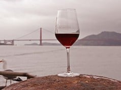 2011 San Francisco Chronicle Wine Competition