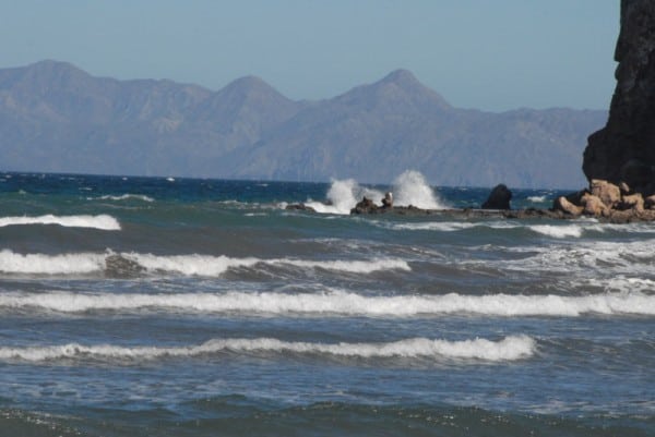 Sea of Cortez - Baja