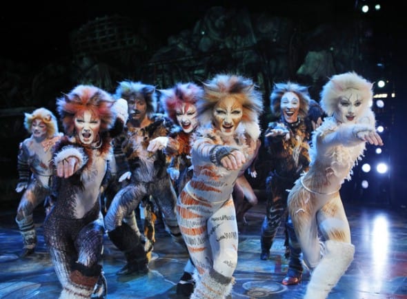 Cats' coming to San Francisco