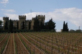 A vineyard in Châteauneuf-du-Pape, in southern Rhône.