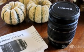 Canon 18-200mm lens - modest workhorse