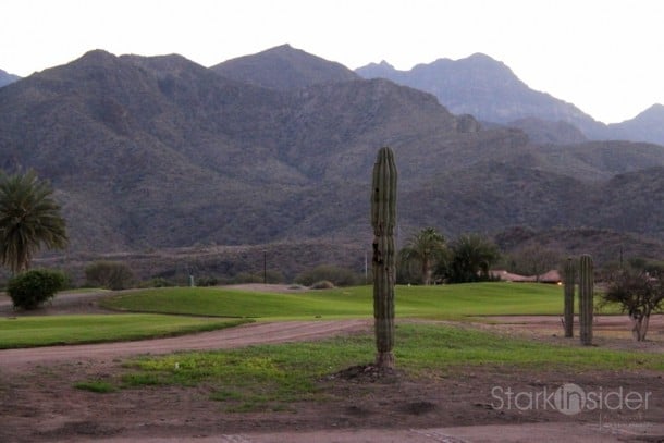 LB Golf Course is looking stellar! Imagine 18 rounds with views of the Sierra de la Giganta and Sea of Cortez. Not me, though. I play hockey.