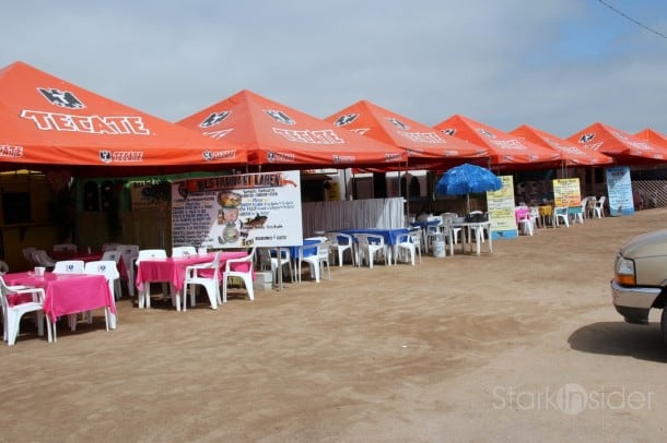 "Tecate Row" at López Mateos - the best line-up of Tacos stands in the known universe.