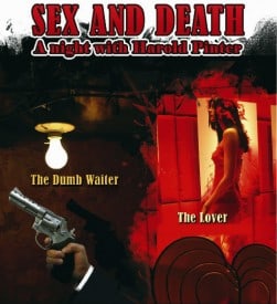 Sex and Death - Harold Pinter "The Dumb Waiter" and "The Lover"