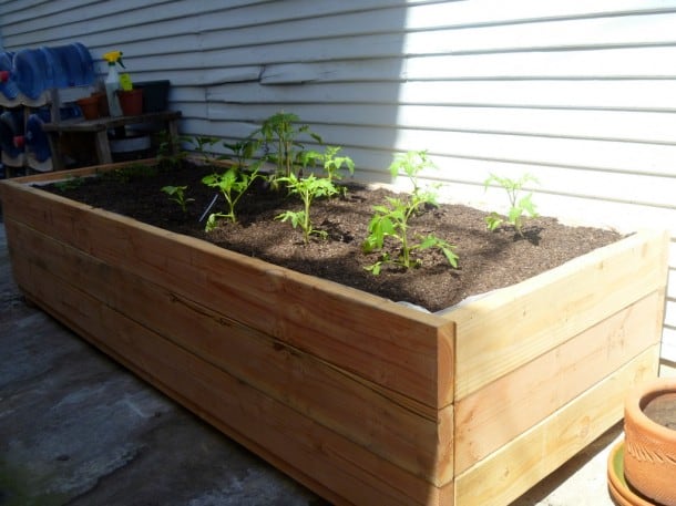 Andrew's planter