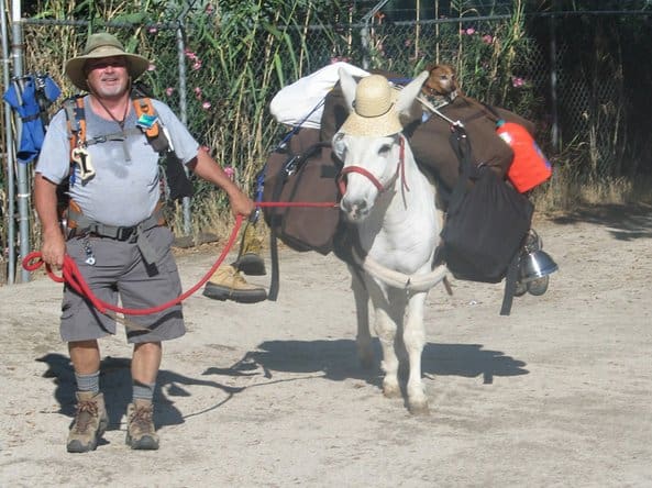 Starting in Tecate, Mike Younghusband and his burro Don-Kay walked 1,147 miles down the Baja Peninsula.