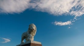 Lion Cloud