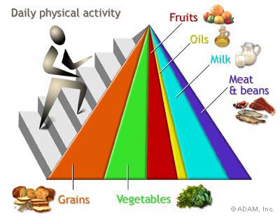 Food Pyramid circa 2005.