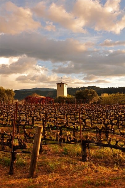 Robert Mondavi Winery, Napa Valley.