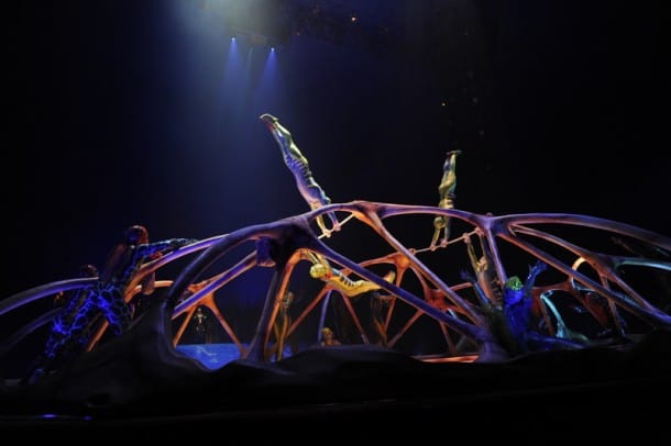 Cirque du Soleil Totem - Bars (Carapace)