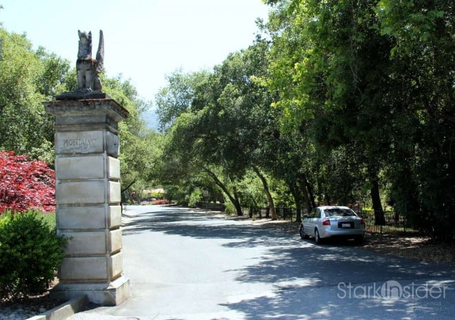 Set on 175 stunning acres of open space with 2.5 miles of hiking trails in the midst of Silicon Valley, Montalvo Arts Center occupies a historic Mediterranean-style villa and hosts three performing arts venues, a 10-studio artist residency complex and a formal Italianate garden.