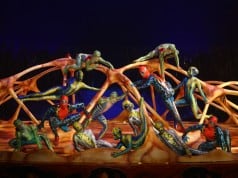 Totem - Cirque du Soleil - Photo Preview