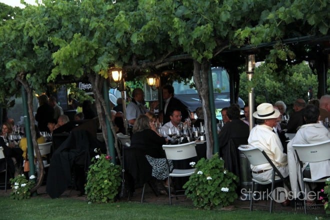 Dinner under the arbor (and grapes).