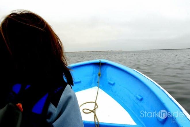 Whale watching in the Pacific Ocean