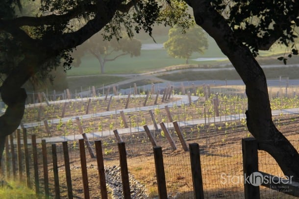 Carmel Valley Ranch on a relaxed, cool Tue evening.