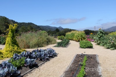 Organic Gardens at Carmel Valley Ranch
