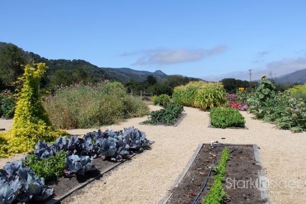 Carmel Valley Ranch - Organic Vegetable Garden