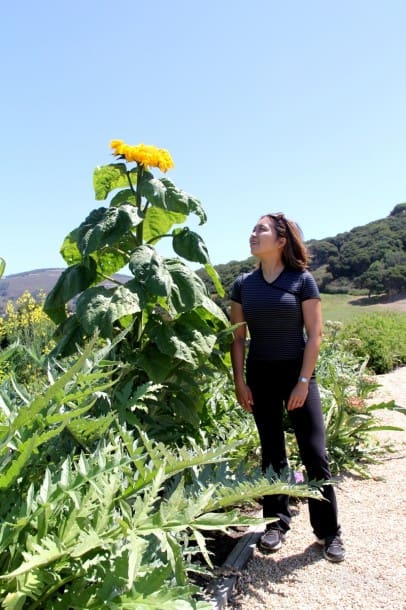 Organic Gardens at Carmel Valley Ranch