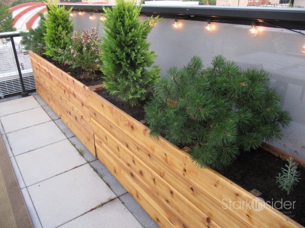 Urban Planter Box Design