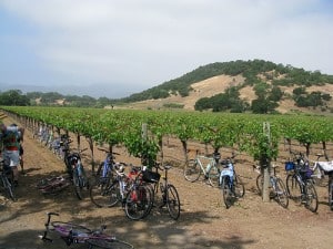 Bike Tour Napa