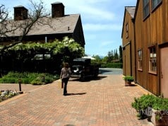 Turnbull Wine Cellars