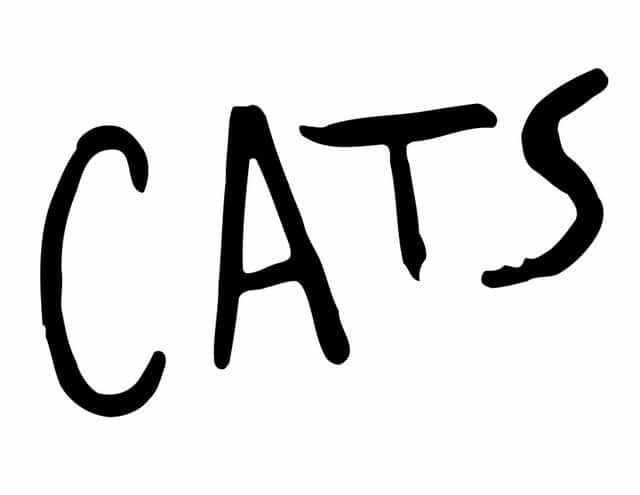 Cats - Broadway San Jose