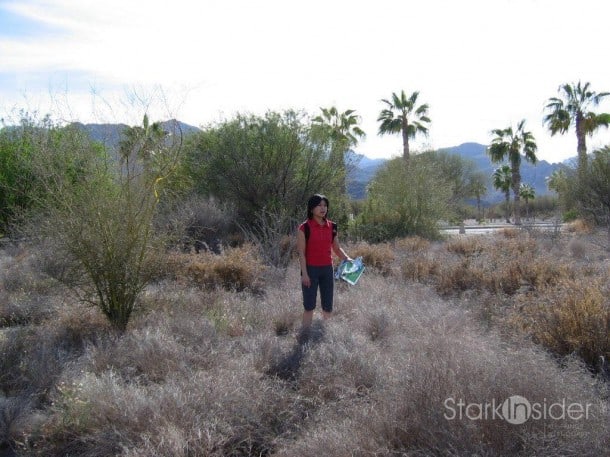 Baja desert landscape