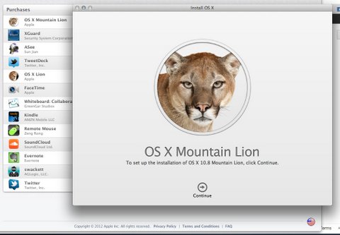 mac os x mountain lion skins