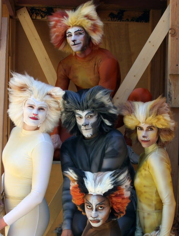 Cats Musical - Woodminster Summer Musical - Oakland