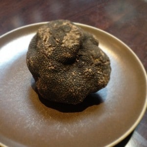 Black Truffle