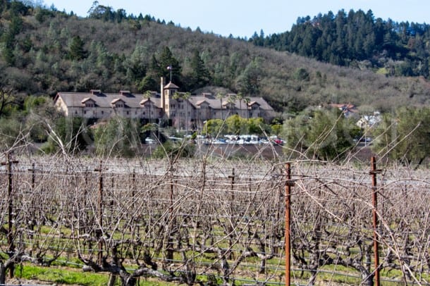 Culinary Institute of America at Greystone: Sight of the Premiere Napa Valley wine futures auction.