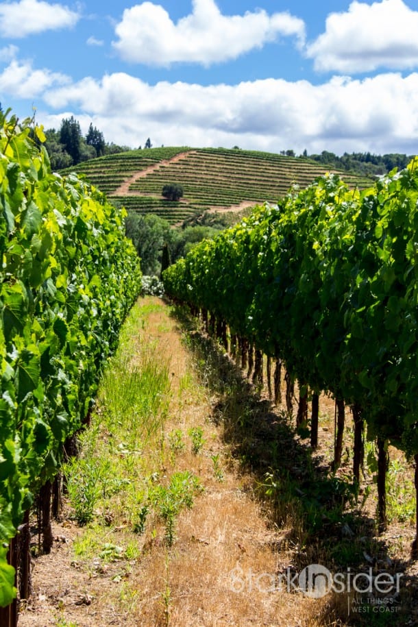 Ferrari-Carano Vineyards, Gardens - Sonoma