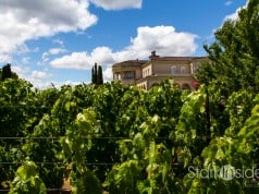 Ferrari Carano Vineyards and Winery - Photo by Clinton Stark