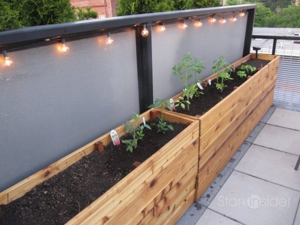 Urban Vegetable Gardening