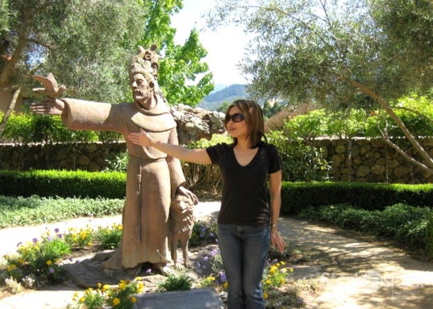 Loni of Stark Insider TV points the way to Sonoma. On location at St. Francis Winery, one of  XX wineries participating in this year's VinOlivo in Sonoma.