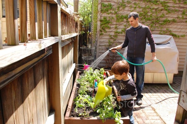 DIY Planter Box - Urban Gardning