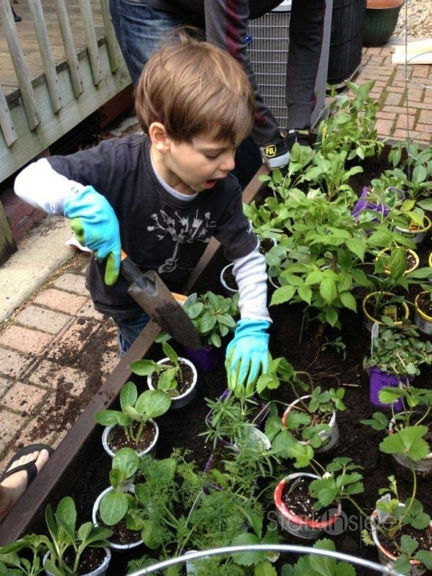 DIY Planter Box - Urban Gardning