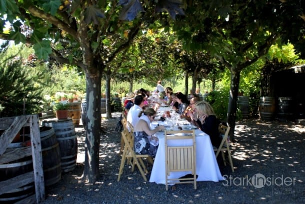 Having lunch or dinner in a vineyard is a must at least once in your lifetime.