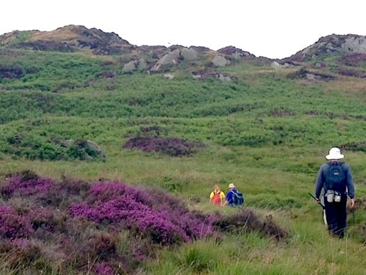 Looking for Heathcliff in the heather-clad moors