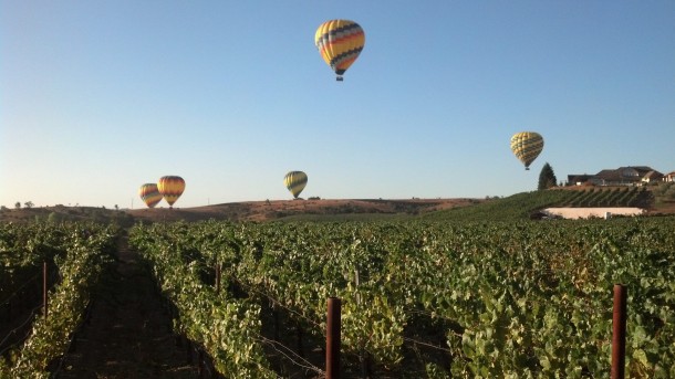 Duckhorn Vineyards