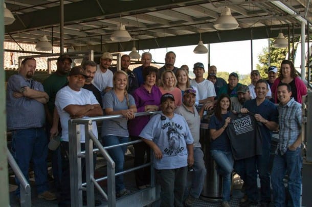 The team at St. Francis winery in Sonoma welcomes 13 tons of hand-picked Sauvignon Blanc grapes from Alexander Valley